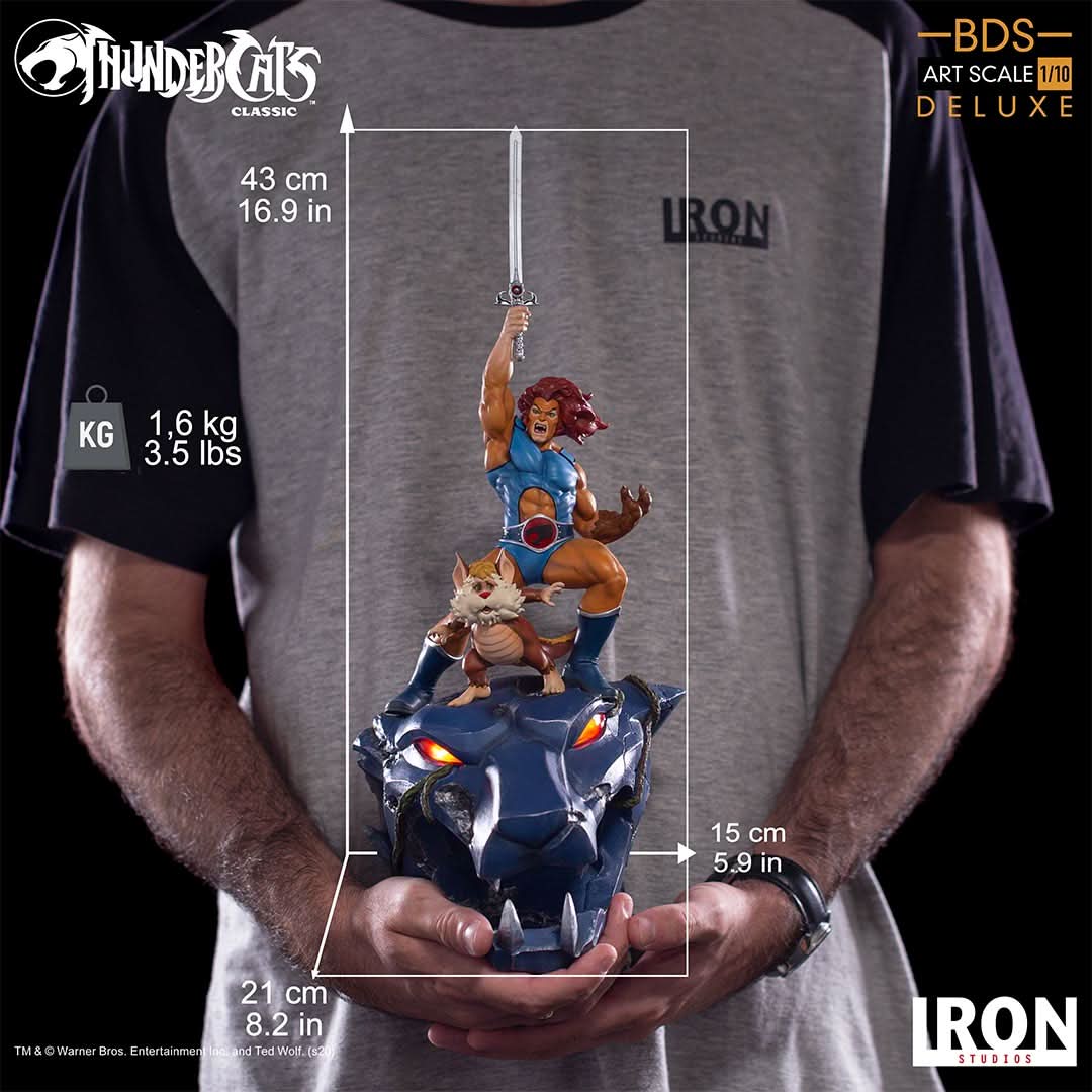 Statue Lion-O - Thundercats - Art Scale 1/10 - Iron Studios - Image 4